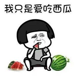 娱乐圈有什么瓜可以吃吗,揭秘明星幕后故事与热点事件