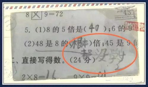 娱乐吃瓜酱试卷,揭秘娱乐圈幕后真相